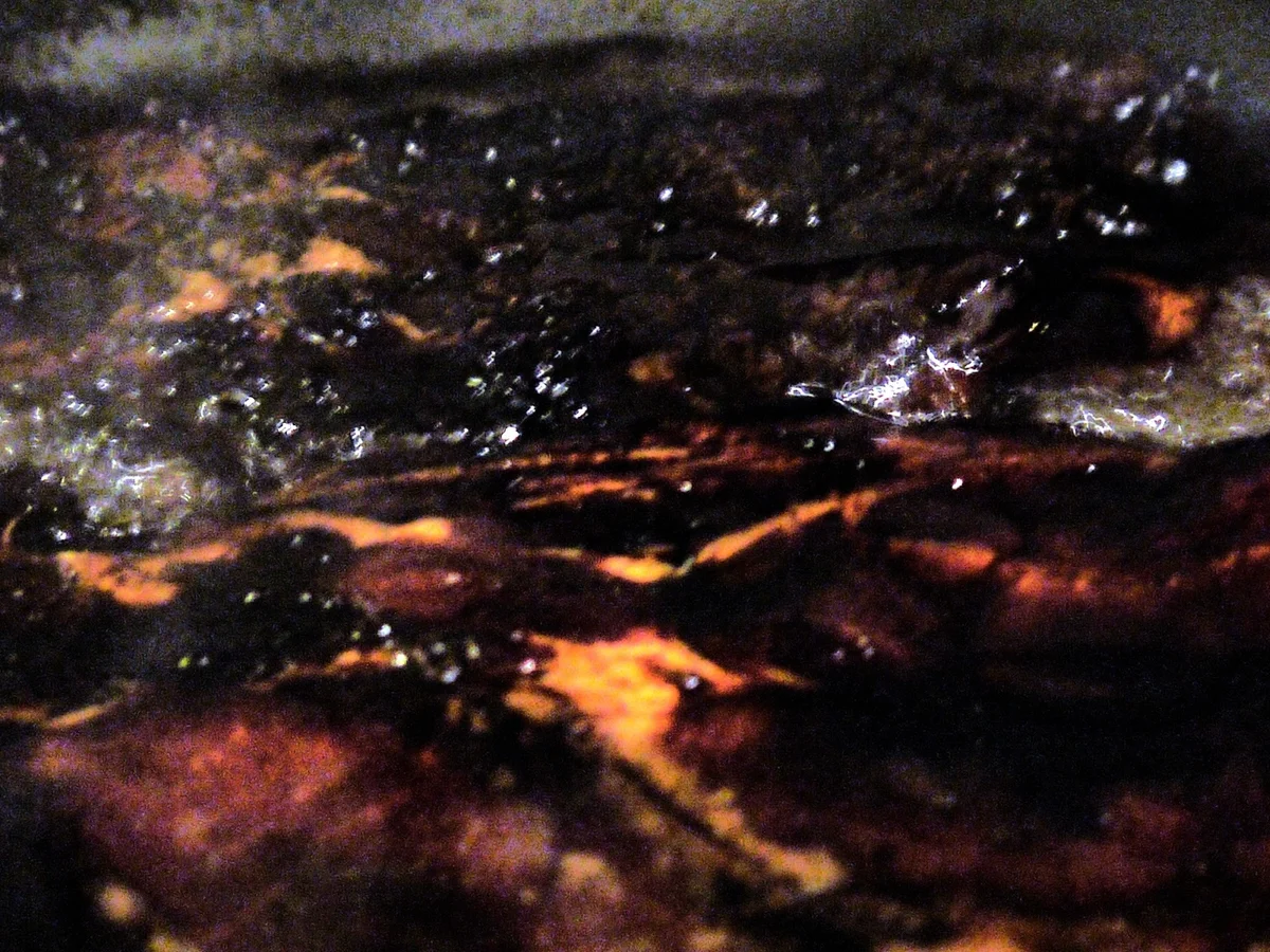 Rezept: Ingwer-Kotlett mit Süßkartoffel-Pommes, Zitronen-Koriander-Majo Bild Nr. 5288 Ingwer-Kotlett mit Süßkartoffel-Pommes, Zitronen-Koriander-Majo - Rezept - Bild Nr. 5288