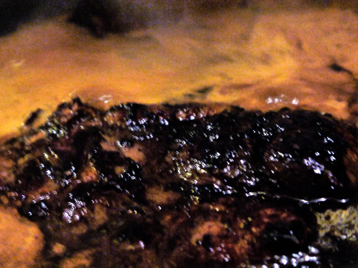 Rezept: Ingwer-Kotlett mit Süßkartoffel-Pommes, Zitronen-Koriander-Majo Bild Nr. 5289 Ingwer-Kotlett mit Süßkartoffel-Pommes, Zitronen-Koriander-Majo - Rezept - Bild Nr. 5289