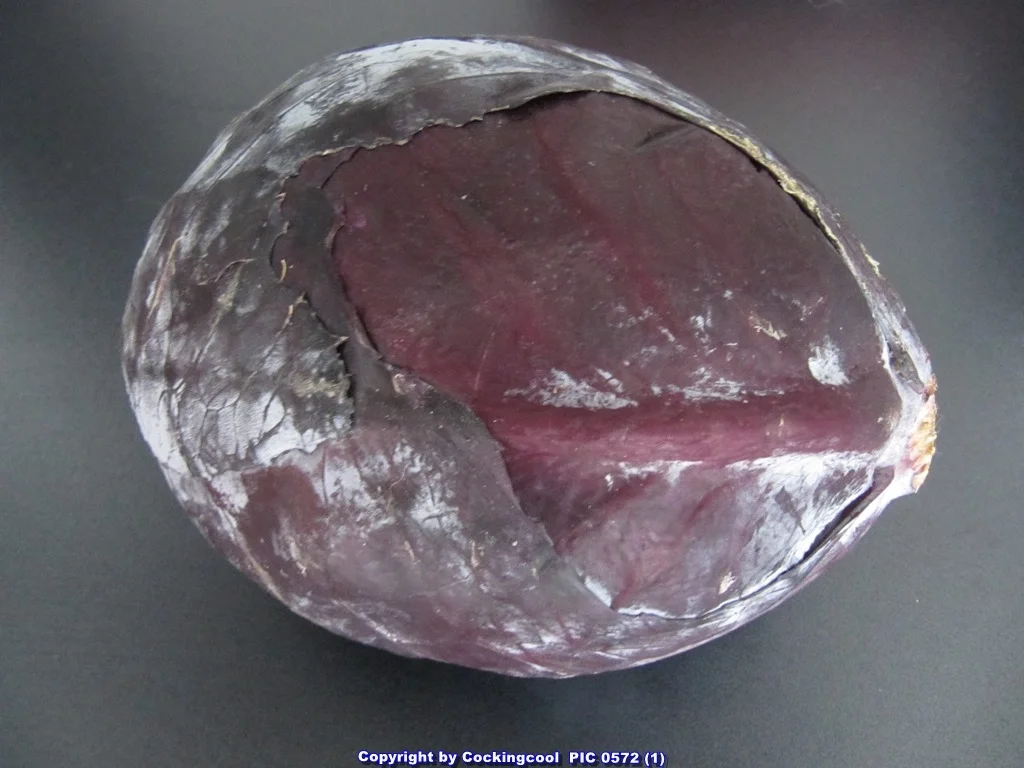 Rezept: Rotkohl aber nicht einfach nur - sondern extra lecker Bild Nr. 5273 Rotkohl aber nicht einfach nur - sondern extra lecker - Rezept - Bild Nr. 5273