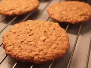 Ingwer-Zimt-Kekse - Rezept - Bild Nr. 5282