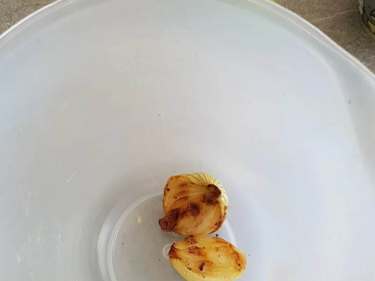 Manicotti (Pasta) Auflauf - Rezept - Bild Nr. 5284