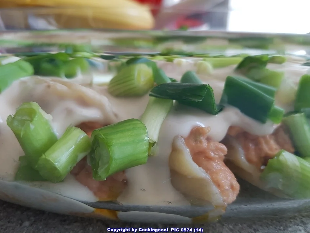 Manicotti (Pasta) Auflauf - Rezept - Bild Nr. 5293