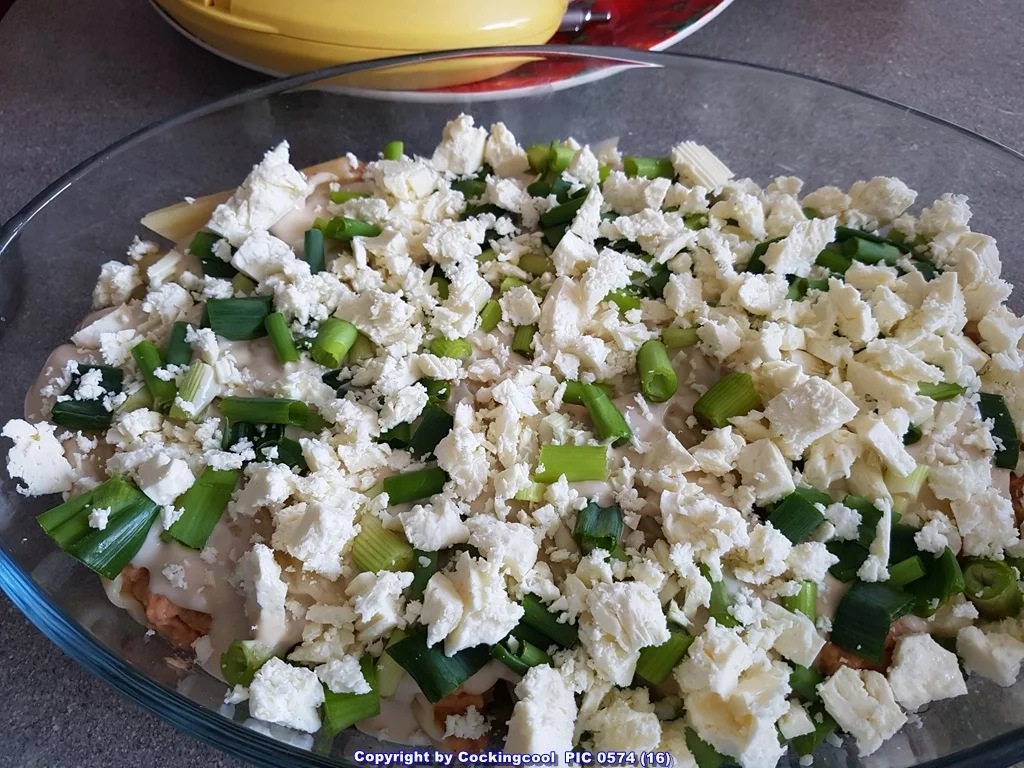 Manicotti (Pasta) Auflauf - Rezept - Bild Nr. 5298