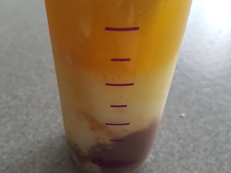 Schoko Haselnuss Krokant Butterkuchen - Rezept - Bild Nr. 5292