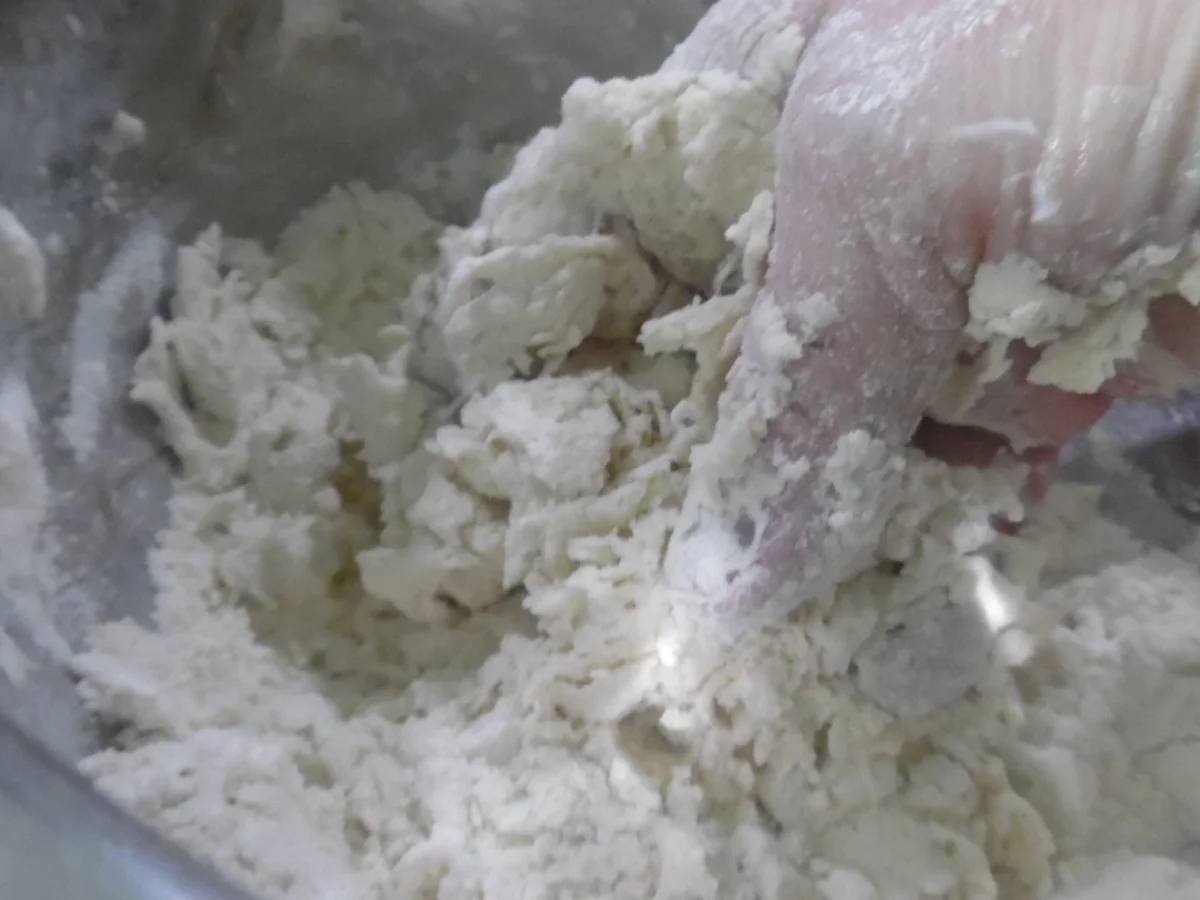 Bhatura - indisches Ballonbrot - Rezept - Bild Nr. 5317