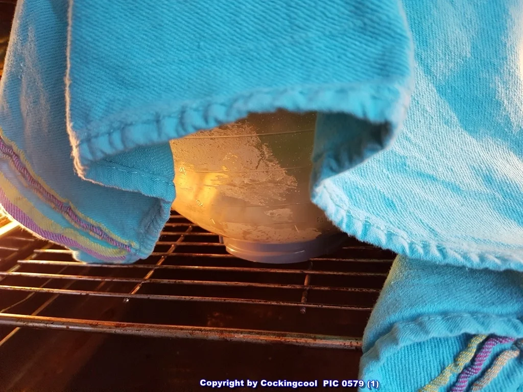 "Berliner" oder wie der Berliner sagt "Pfannkuchen" - Rezept - Bild Nr. 5315