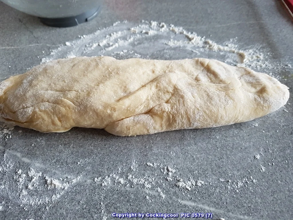 "Berliner" oder wie der Berliner sagt "Pfannkuchen" - Rezept - Bild Nr. 5327