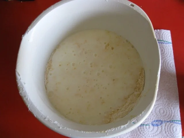 Rezept: Mandarinen Kokos Kuchen Bild Nr. 5324 Mandarinen Kokos Kuchen - Rezept - Bild Nr. 5324