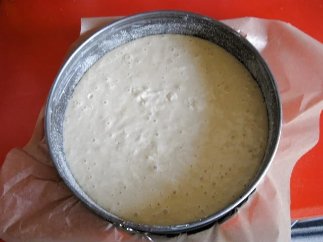 Rezept: Mandarinen Kokos Kuchen Bild Nr. 5326 Mandarinen Kokos Kuchen - Rezept - Bild Nr. 5326