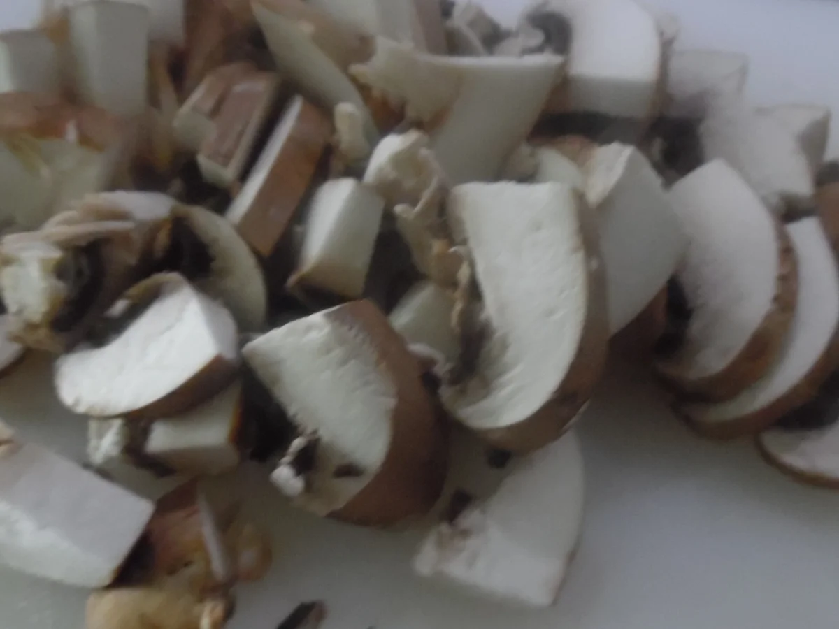 Nudel-Auflauf mit Geschnetzeltem vom Schweinefilet und Champignons - Rezept - Bild Nr. 5355