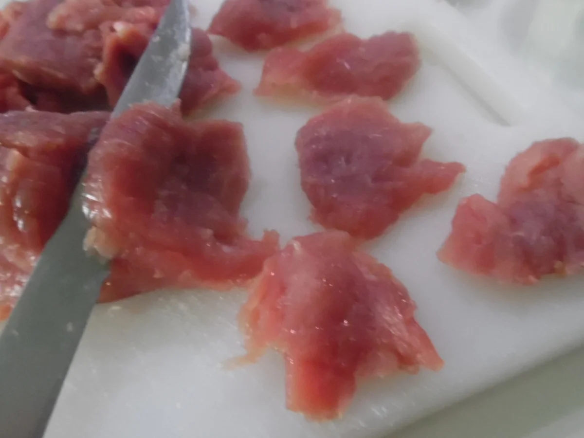 Nudel-Auflauf mit Geschnetzeltem vom Schweinefilet und Champignons - Rezept - Bild Nr. 5356