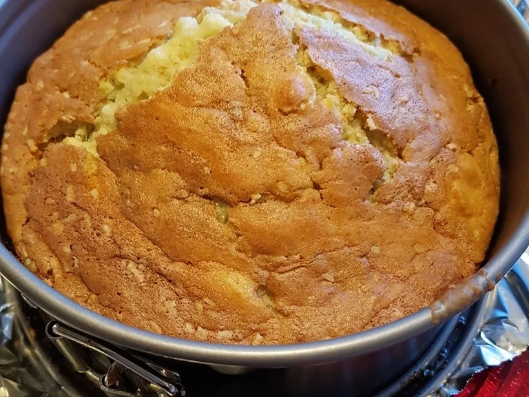 Gemüsetorte ganz zart und fein- so muss sie sein :) - Rezept - Bild Nr. 5359