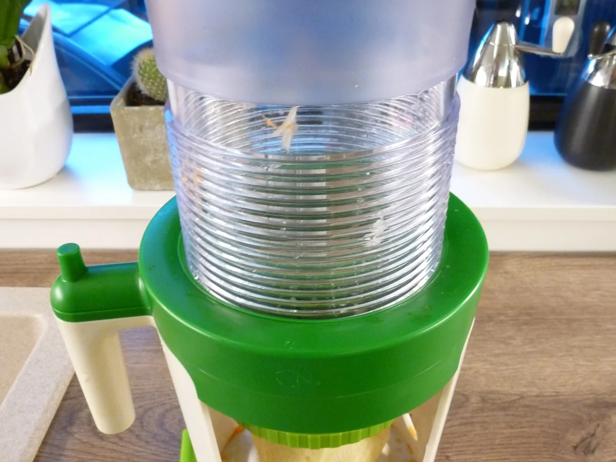 Knusper-Garnelen mit Gemüsenudeln - Rezept - Bild Nr. 5350