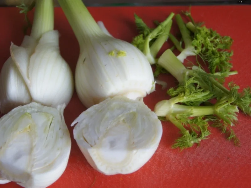 Wildlachsfilet auf Sahne-Fenchelbett - Rezept - Bild Nr. 5354