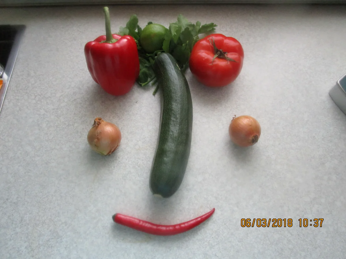 Rezept: Steinbeißer Filet mit kalter Paprikasauce und Zucchinigemüse Bild Nr. 5353 Steinbeißer Filet mit kalter Paprikasauce und Zucchinigemüse - Rezept - Bild Nr. 5353