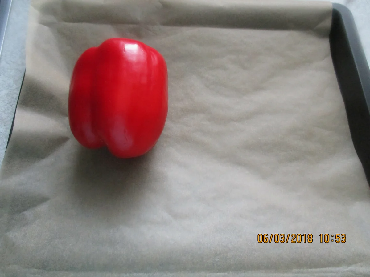 Rezept: Steinbeißer Filet mit kalter Paprikasauce und Zucchinigemüse Bild Nr. 5357 Steinbeißer Filet mit kalter Paprikasauce und Zucchinigemüse - Rezept - Bild Nr. 5357