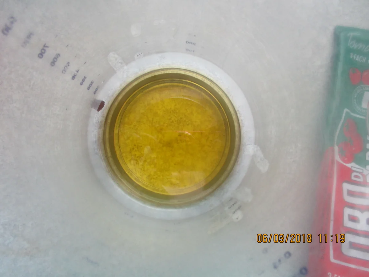 Rezept: Steinbeißer Filet mit kalter Paprikasauce und Zucchinigemüse Bild Nr. 5361 Steinbeißer Filet mit kalter Paprikasauce und Zucchinigemüse - Rezept - Bild Nr. 5361