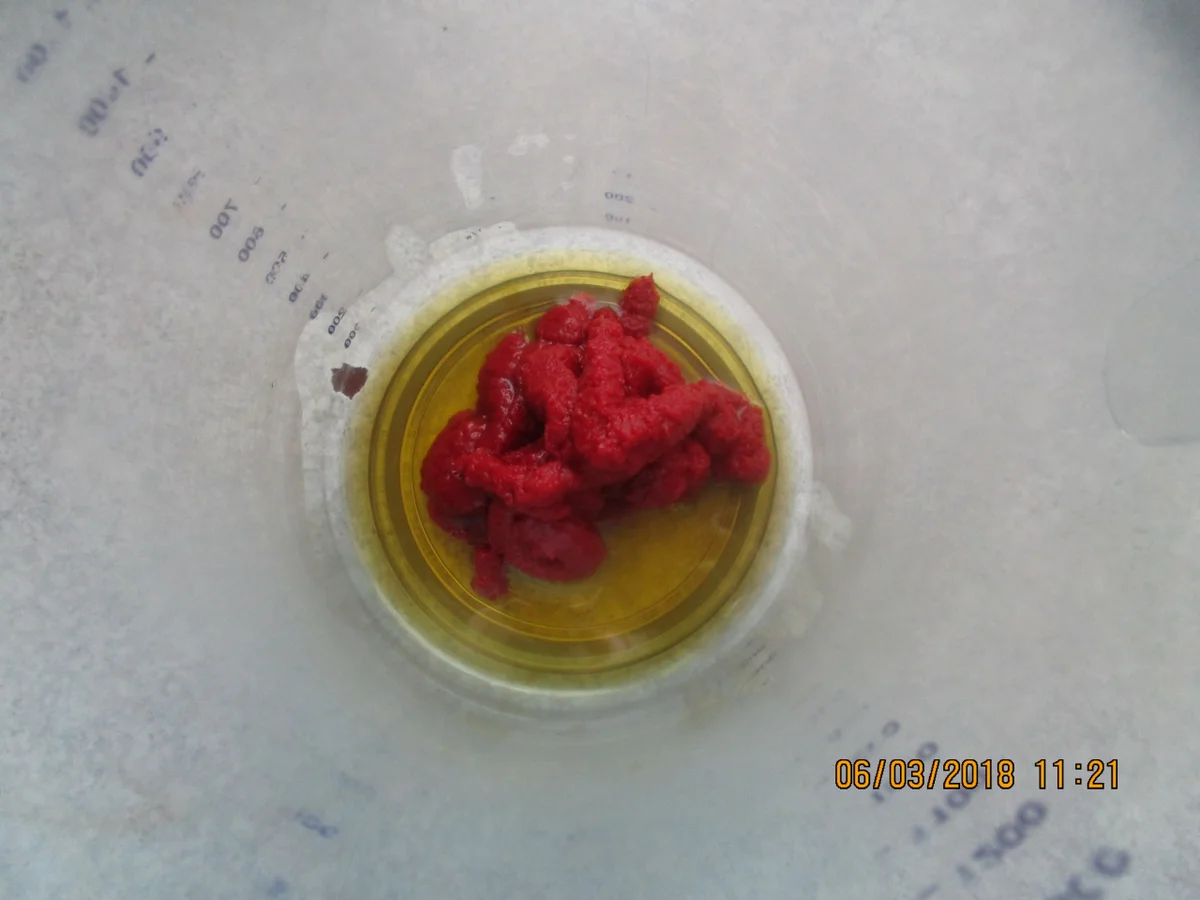 Rezept: Steinbeißer Filet mit kalter Paprikasauce und Zucchinigemüse Bild Nr. 5362 Steinbeißer Filet mit kalter Paprikasauce und Zucchinigemüse - Rezept - Bild Nr. 5362