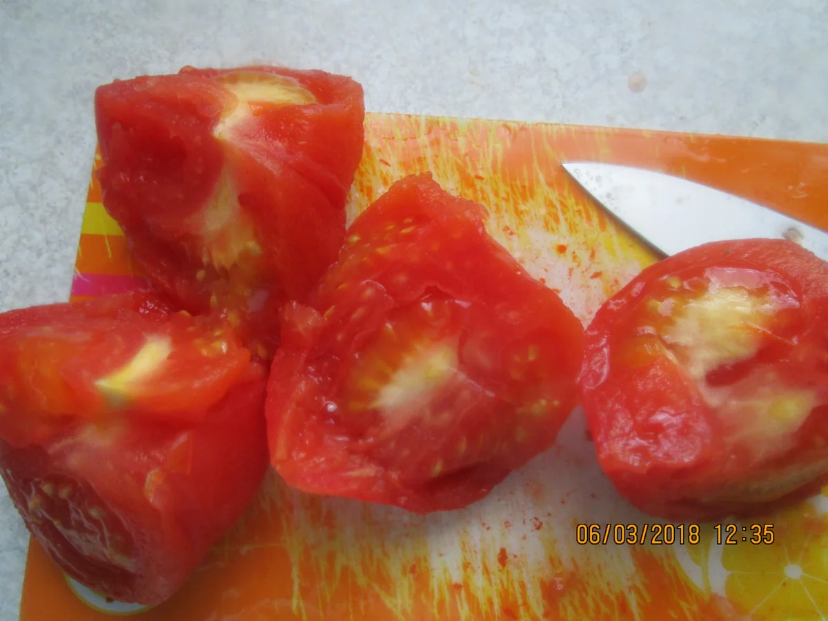 Rezept: Steinbeißer Filet mit kalter Paprikasauce und Zucchinigemüse Bild Nr. 5372 Steinbeißer Filet mit kalter Paprikasauce und Zucchinigemüse - Rezept - Bild Nr. 5372