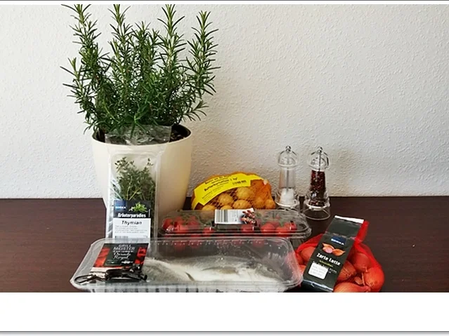 Gebackene Dorade aus dem Ofen, im Gemüsebett - Rezept - Bild Nr. 5355