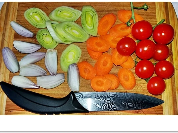 Gebackene Dorade aus dem Ofen, im Gemüsebett - Rezept - Bild Nr. 5358