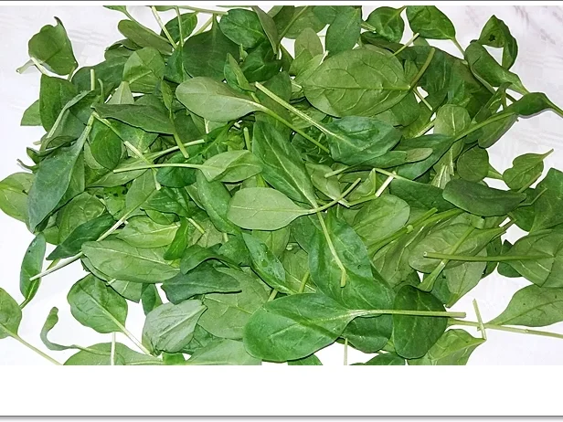 Spinat-Cremesuppe mit  Jakobsmuschel-Spieß - Rezept - Bild Nr. 5356