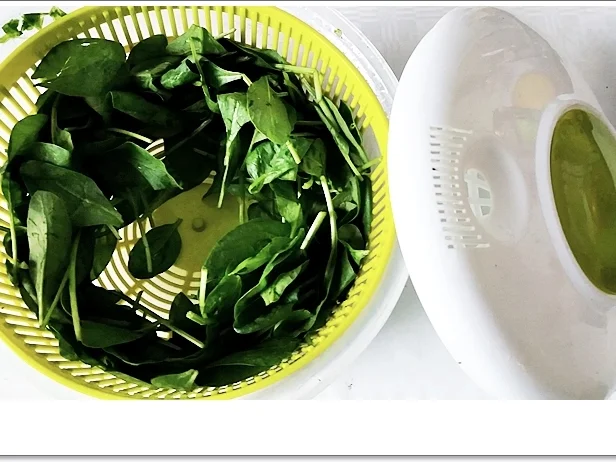 Spinat-Cremesuppe mit  Jakobsmuschel-Spieß - Rezept - Bild Nr. 5357