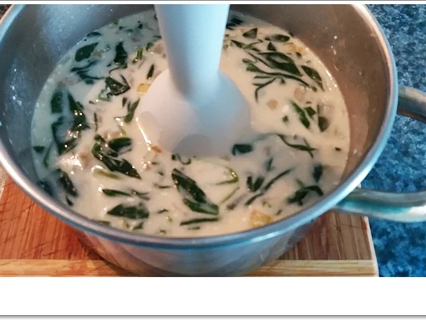 Spinat-Cremesuppe mit  Jakobsmuschel-Spieß - Rezept - Bild Nr. 5361