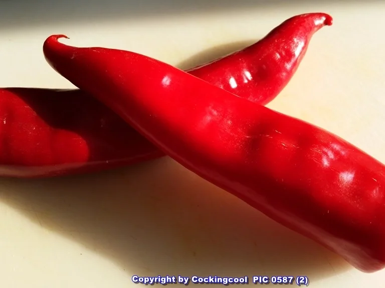 Rezept: Rote Spaghetti (mit Knoblauch und Chili) selbst herstellen Bild Nr. 5364 Rote Spaghetti (mit Knoblauch und Chili) selbst herstellen - Rezept - Bild Nr. 5364