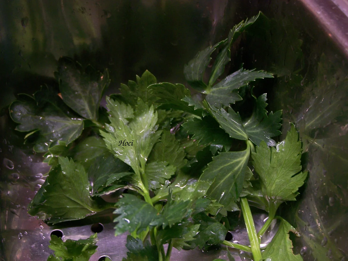 Kapuziener ~ Graue Erbsen - Rezept - Bild Nr. 5411