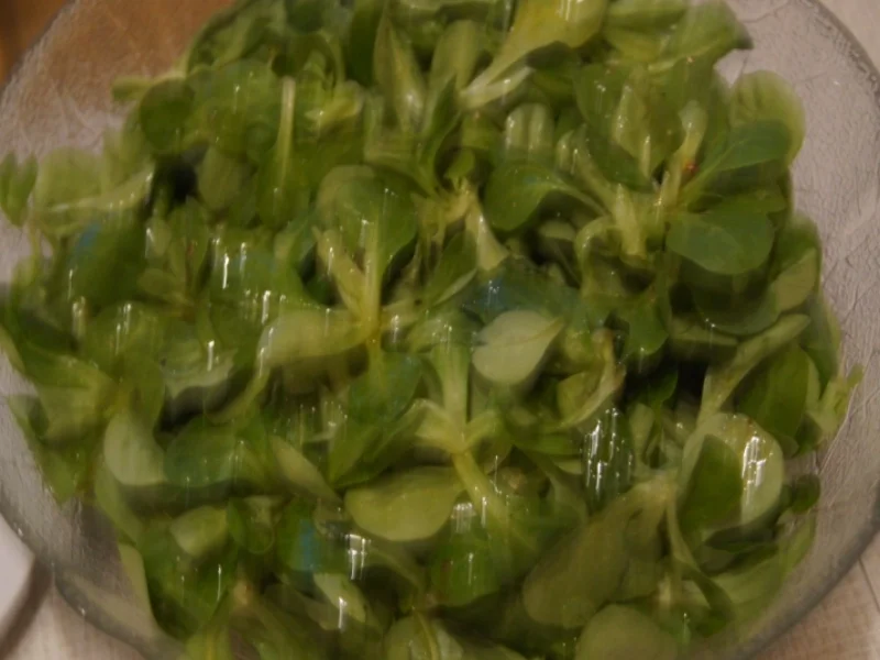 Fenchel-Garnelen-Feldsalat Teller - Rezept - Bild Nr. 5403