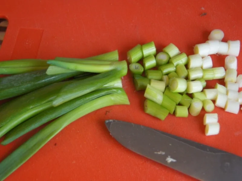 Rezept: Tafelspitz Gemüsesuppe Bild Nr. 5405 Tafelspitz Gemüsesuppe - Rezept - Bild Nr. 5405