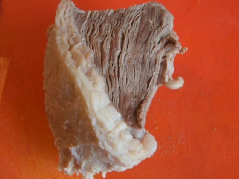 Rezept: Tafelspitz Gemüsesuppe Bild Nr. 5410 Tafelspitz Gemüsesuppe - Rezept - Bild Nr. 5410