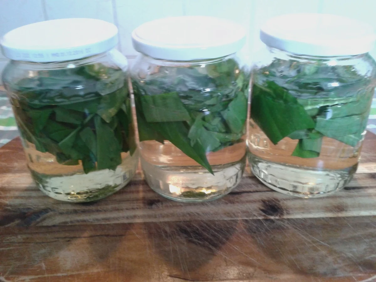 Bärlauch-Essig - Rezept - Bild Nr. 4