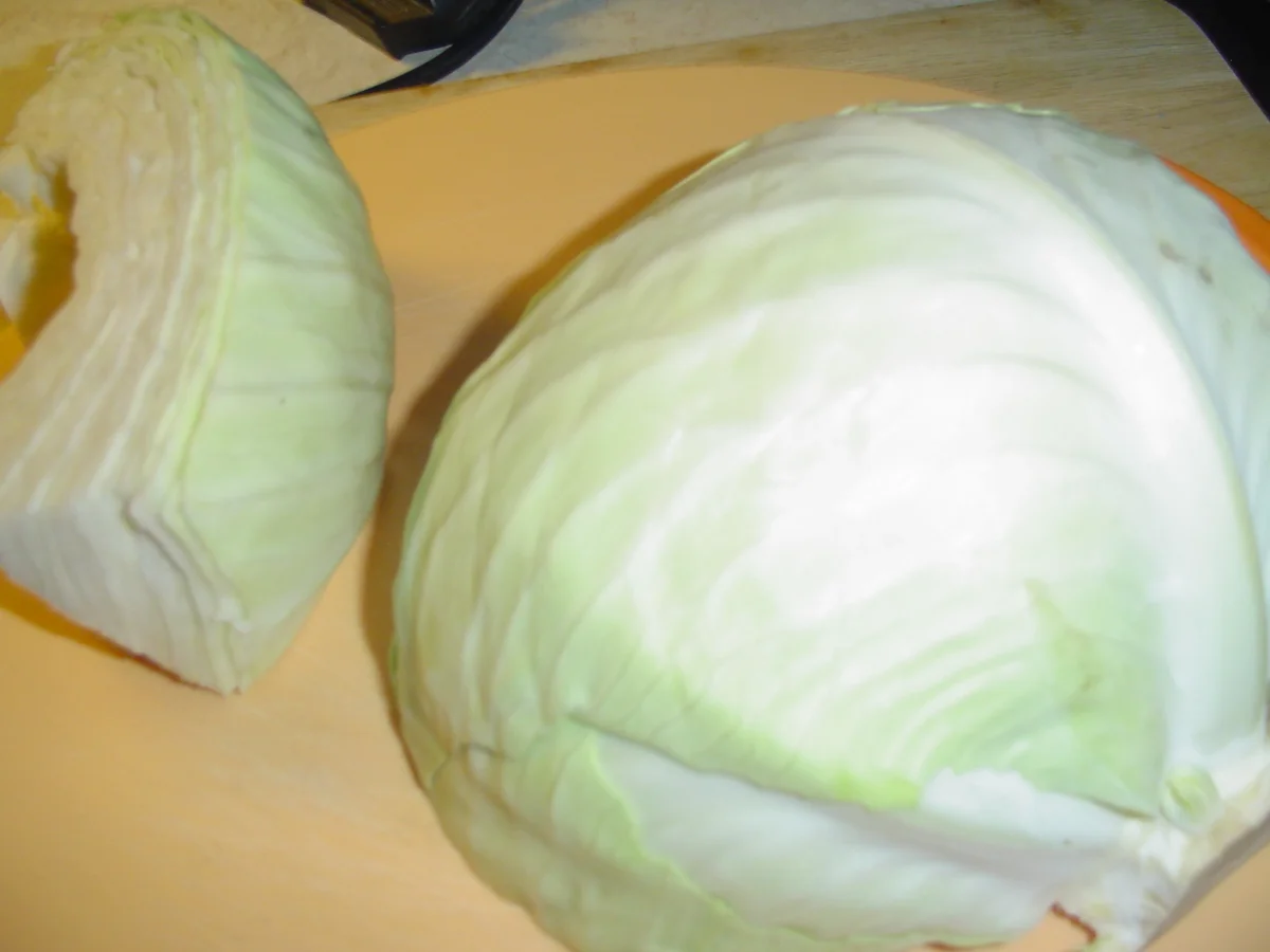 Kohlgericht - Rezept - Bild Nr. 5416