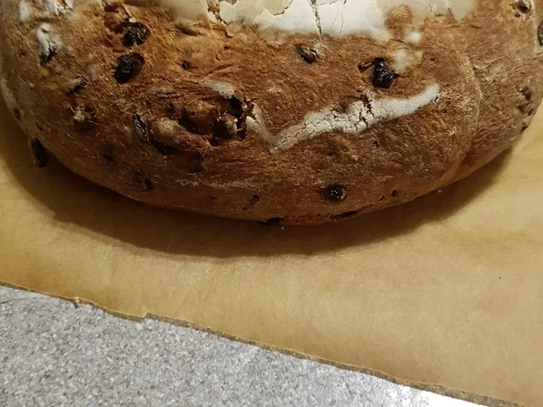 Deftiges Graubrot (mit Speck und Zwiebel) - Rezept - Bild Nr. 5462