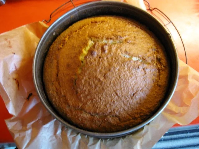 Kokoskuchen - Rezept - Bild Nr. 5428