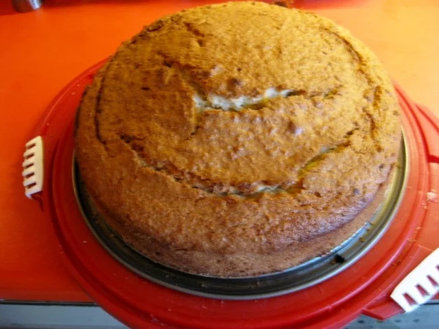 Kokoskuchen - Rezept - Bild Nr. 5429