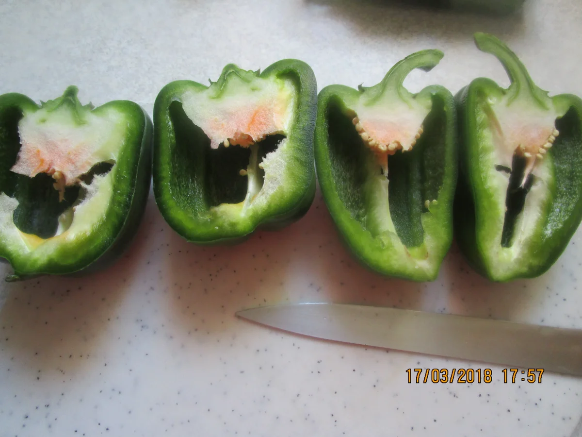 Gemüse-Tortelloni-Gratin - Rezept - Bild Nr. 5430