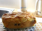 Mandarinen-Cranberry-Kuchen - Rezept - Bild Nr. 5428