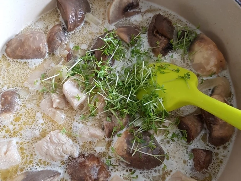 Rezept: Putenfilet Pilzgulasch à la Biggi Bild Nr. 5441 Putenfilet Pilzgulasch à la Biggi - Rezept - Bild Nr. 5441