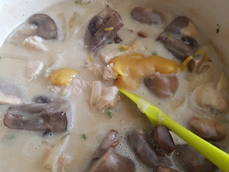 Rezept: Putenfilet Pilzgulasch à la Biggi Bild Nr. 5443 Putenfilet Pilzgulasch à la Biggi - Rezept - Bild Nr. 5443