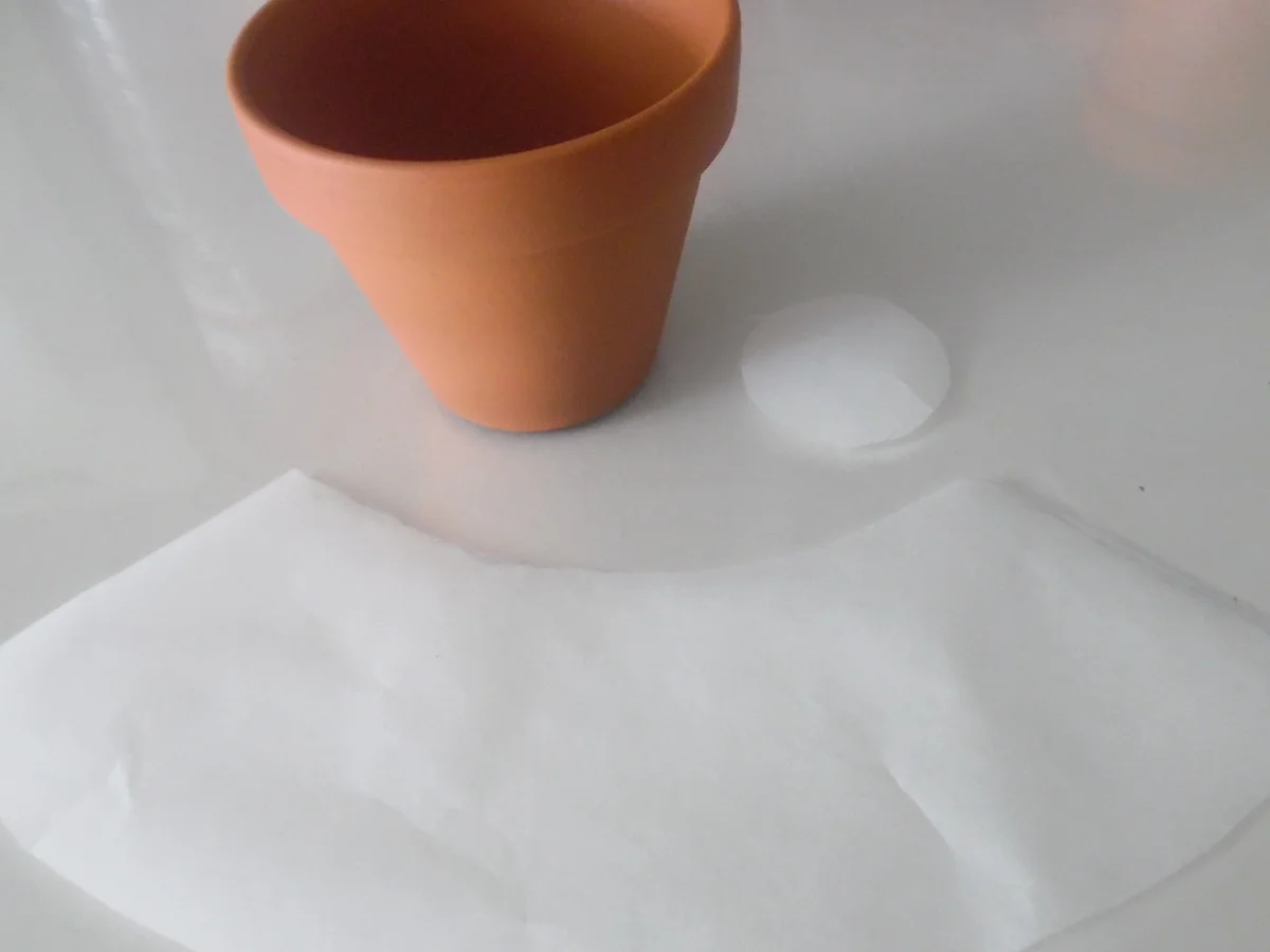 Blumentopf-Küchlein mit Pistazien und Mandeln - Rezept - Bild Nr. 5454