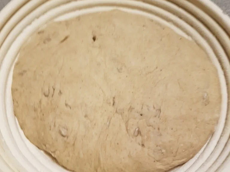 Roggenmischbrot ohne Sauerteig aber mit Buttermilch - Rezept - Bild Nr. 4