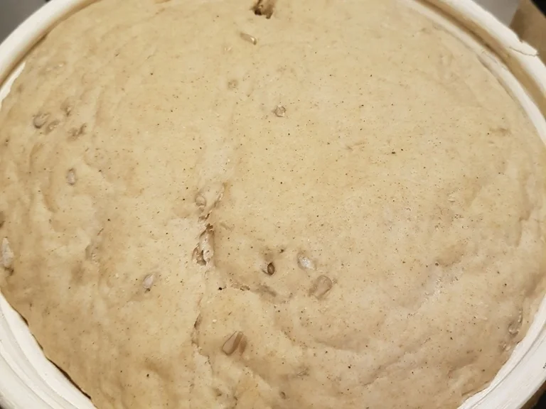 Roggenmischbrot ohne Sauerteig aber mit Buttermilch - Rezept - Bild Nr. 5
