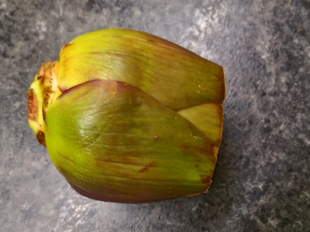 Rezept: Artischocken - Nudelfleckerl - Pfanne Bild Nr. 5469 Artischocken - Nudelfleckerl - Pfanne - Rezept - Bild Nr. 5469