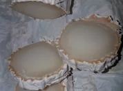 Clafoutis au chévre - Rezept - Bild Nr. 5469