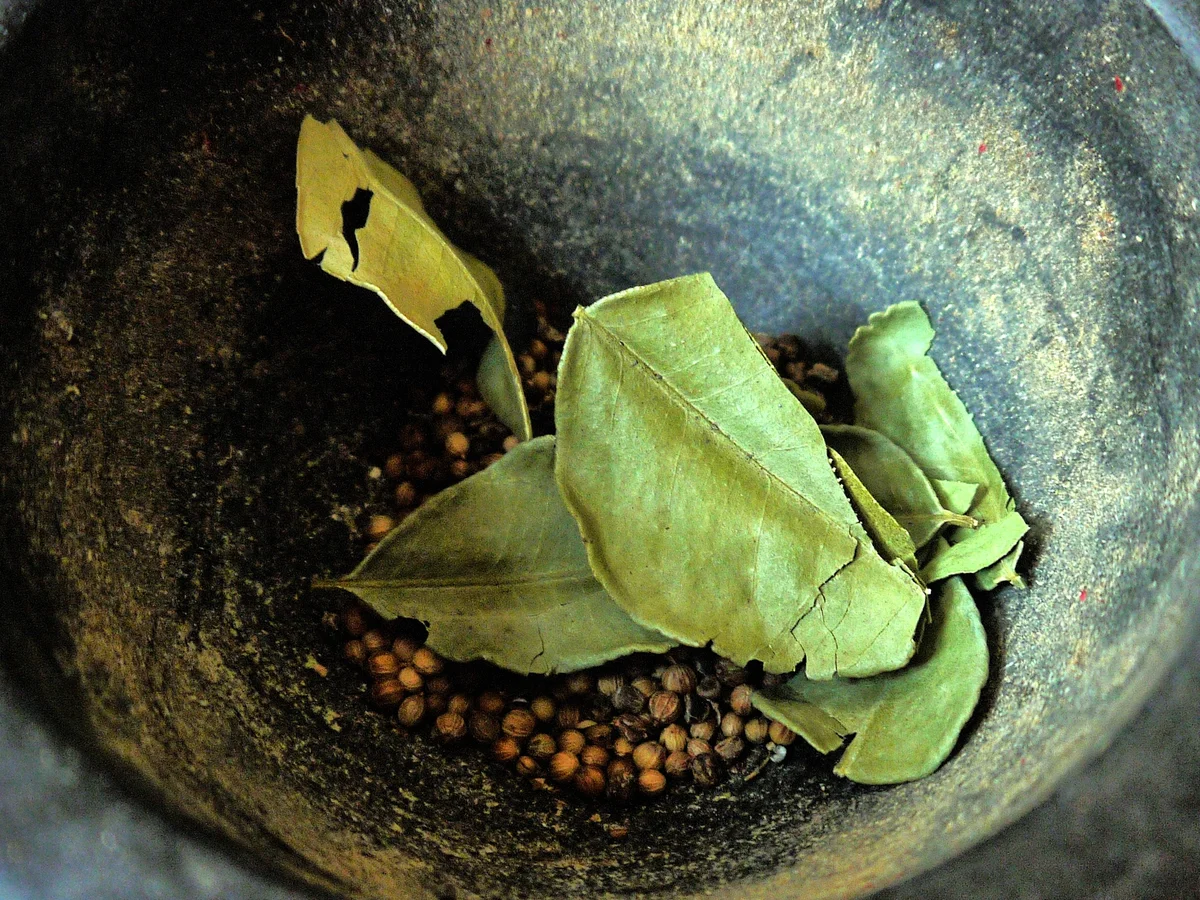 Black-Kardamom-Chicken, Süsskartoffelpüree - Rezept - Bild Nr. 5496