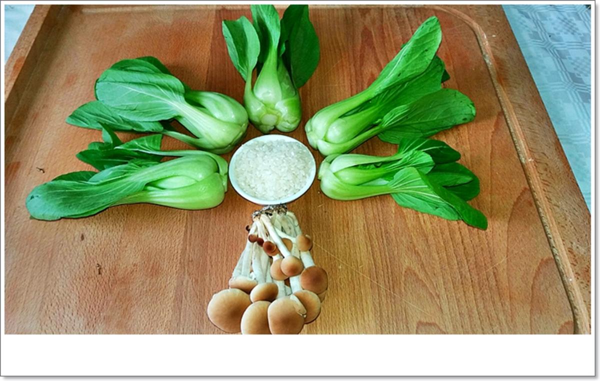 Pak Choi mit ➯ Reis und ➯ Samthaube - Rezept - Bild Nr. 5486