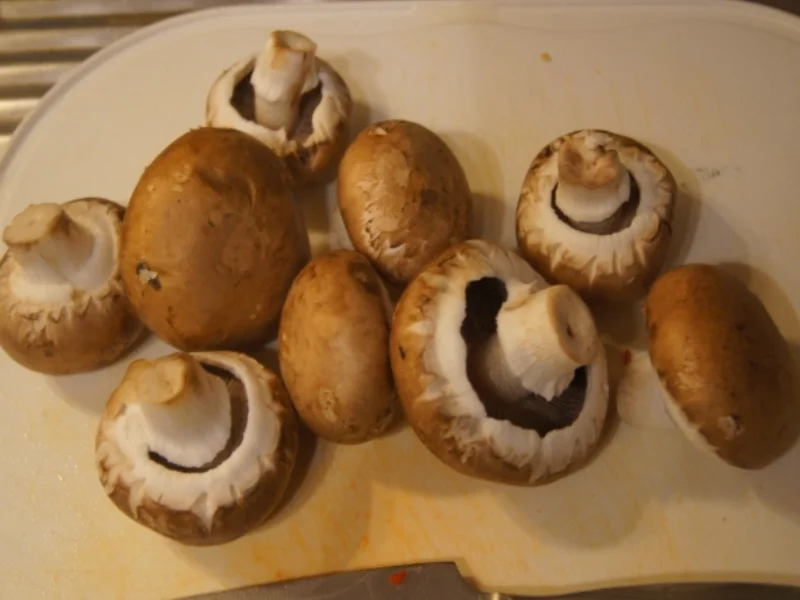 Schweine-Rahm-Gulasch mit Paprikamix und Champignons - Rezept - Bild Nr. 5486